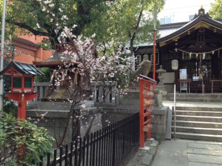 東高津神社の梅