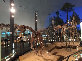 恐竜博物館1